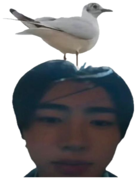 Young person standing by the sea with a seagull perched on their head, completely unfazed sticker