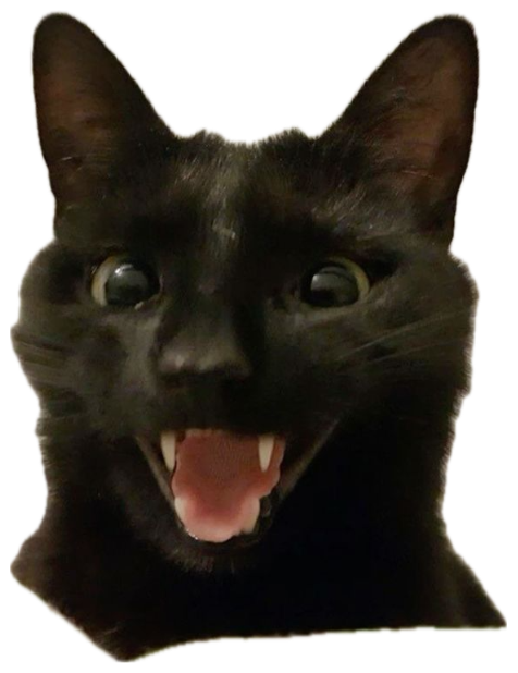 Black cat with mouth wide open matching the ':D' emoticon perfectly above it sticker