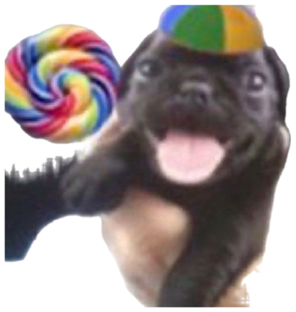 Puppy in a tiny beach-ball hat grinning next to a giant rainbow lollipop sticker