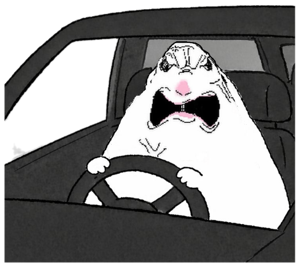 Cartoon bunny frantically gripping a steering wheel and screaming while driving sticker