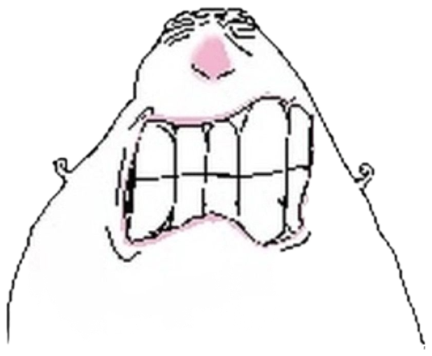 Blobby cartoon creature with enormous blocky teeth screaming in pure horror sticker