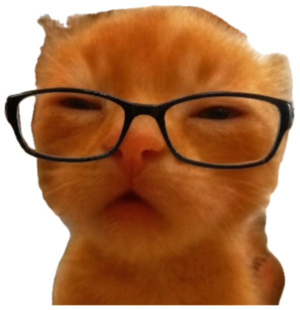 Fluffy orange kitten wearing oversized black glasses with a deeply unimpressed squint sticker