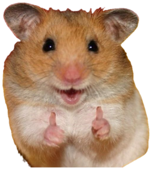 Wide-eyed hamster grinning and throwing up two tiny thumbs-up sticker