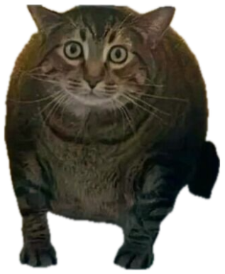 Chonky tabby caught sitting inside the open fridge, frozen mid-stare sticker