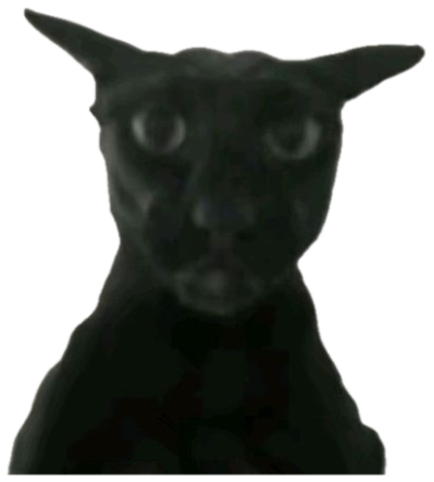 Sleek black cat looming directly at the camera with intense wide eyes sticker