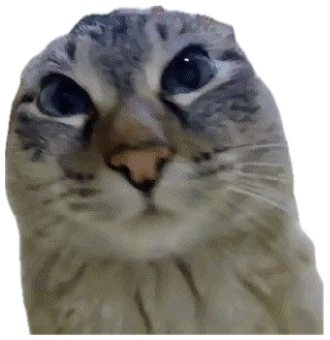 Fluffy gray cat pressing its face into the camera captioned 'ermm what the fork' sticker