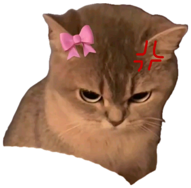 Grumpy tabby cat with a pink bow and red Korean text, glaring with pure disapproval sticker