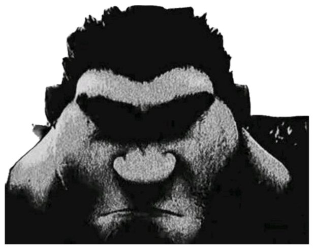 High-contrast black-and-white face glaring with a heavy unibrow scowl sticker
