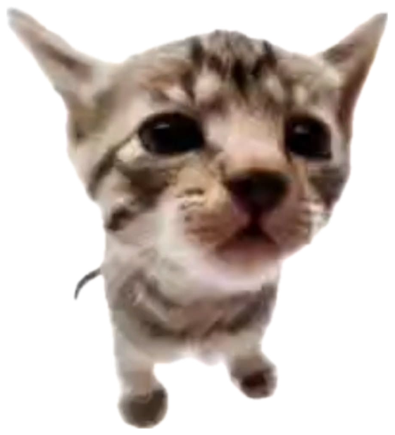 Scrappy kitten marching forward captioned 'I'm going to call you many slurs' sticker