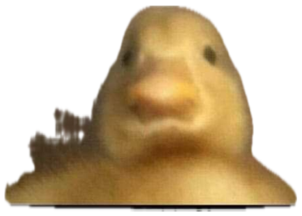 Blurry duckling staring at the camera, captioned 'I sleep now You sleep soon pls' sticker