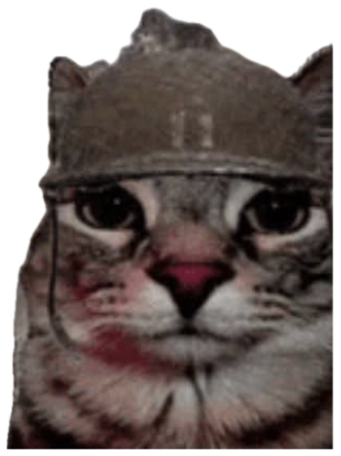 Cat wearing an army helmet with a battlefield behind it, looking sad and shell-shocked sticker
