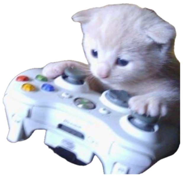 Tiny kitten resting its paws on a white Xbox controller like it's gaming sticker