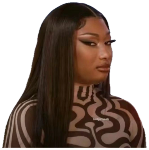 Megan Thee Stallion in a patterned bodysuit delivering a slow, withering side-eye during an interview sticker