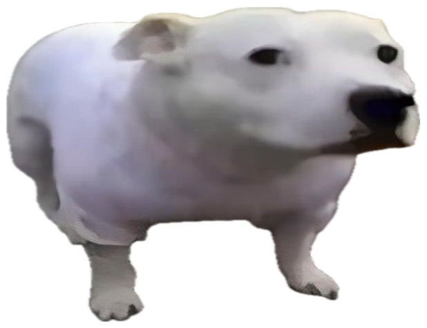 Chunky white dog standing in a muddy field with a blank, confused look and a big '?' sticker