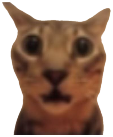 Blurry cat with wide eyes and dropped jaw in total shock sticker