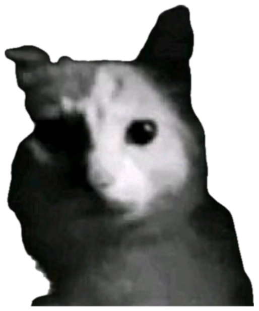 Grainy black-and-white cat half in shadow, staring dead at the camera sticker