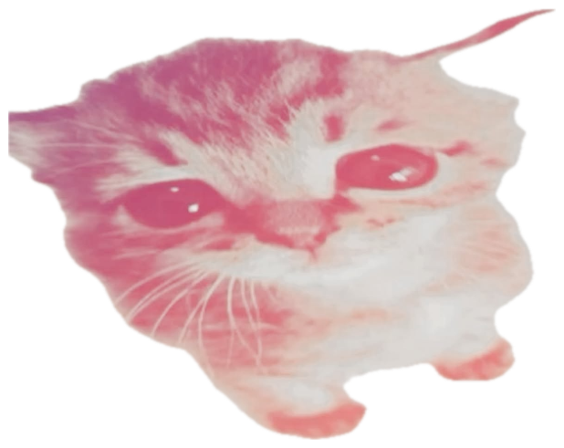Sad pink-tinted kitten looking up captioned 'Please touch me' sticker