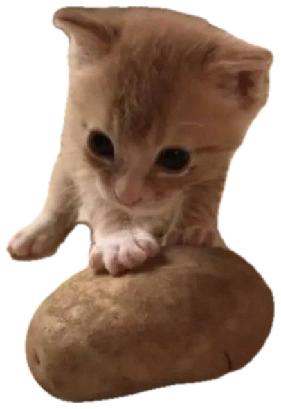 Tiny orange kitten slapping a potato with 'make me fries' over it sticker