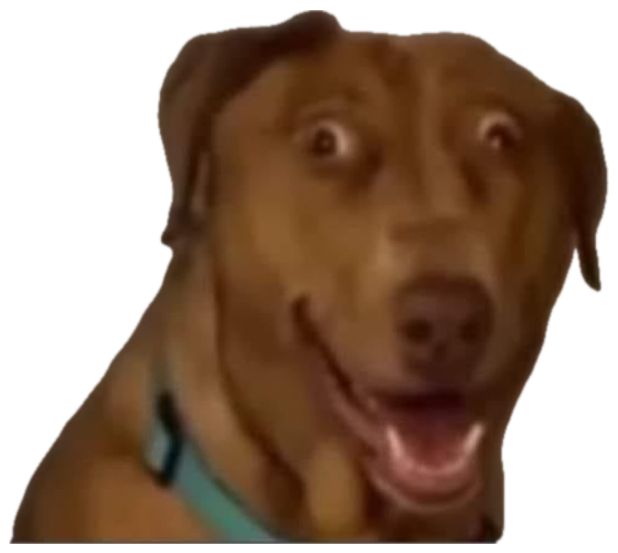 Brown dog with wide bulging eyes and a stunned open-mouthed smile sticker