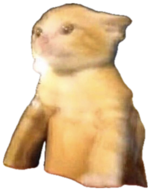 Tiny orange kitten held up at night wearing a distinctly unimpressed face sticker