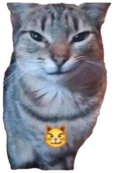 Grinning tabby cat with a smirking-cat emoji overlaid on its chest sticker