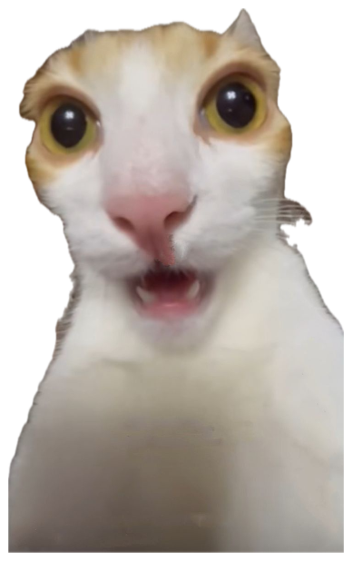 Orange and white cat pressed to the camera, eyes saucer-wide and mouth open sticker