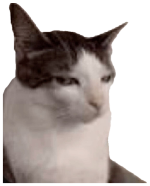 Black-and-white cat glancing sideways with a tired, unimpressed look sticker