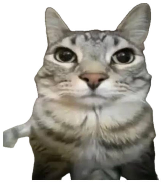 Tabby cat staring dead into the camera with a flat, unimpressed face sticker